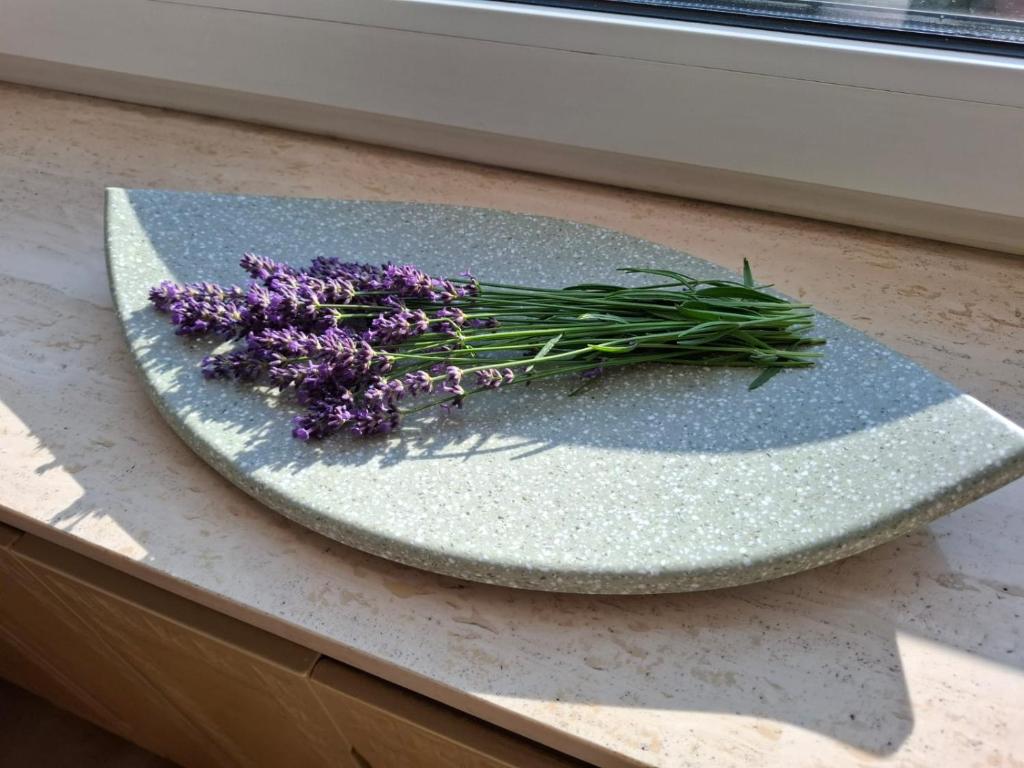 Frischer Lavendel aus dem Garten