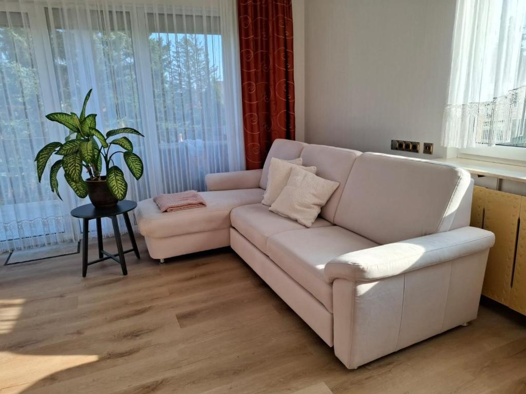 Gemütliche Sofaecke im hellen Wohnzimmer
